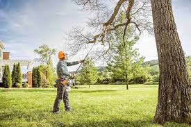 Best Lawn Drainage Solutions  in Lanster, CA